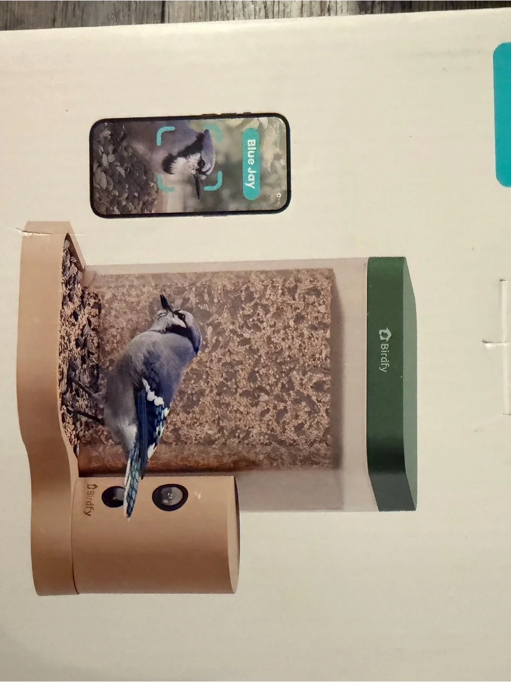 Birdy Grey image shows